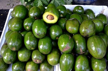 Avocat
