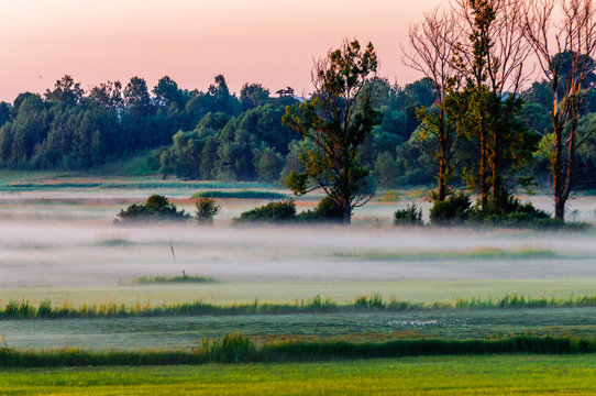 Natural Park of Biebrza Valley - sunrise in foggy morning over medow and pool