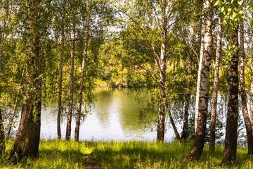 Fototapeta na wymiar cendrowski pond on a Sunny day