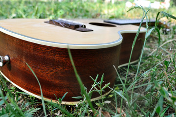 guitar, strings, an ukulele, a straw hat on a guitar, rest in the woods, romance, summer, playing the guitar, playing on an ukulele, a wooden lacquered guitar, a musical instrument of a musician, picn