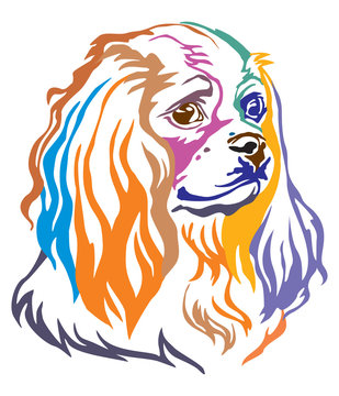 recommend clip art: Colorful decorative portrait of Dog Cavalier King Charles Spaniel vector illustration