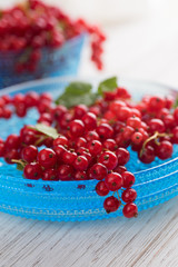 Freshly Picked Red Currants Ready to Eat