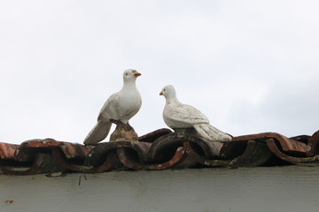 duas pombas de cerâmica no telhado