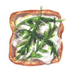 Top view of healthy open sandwich: goat cheese and arugula leaves on a slice of toasted bread. Food illustration painted in watercolor on clean white background  