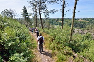 Obraz premium Groupe de randonneurs sur le circuit de la vallée du Trieux en Bretagne