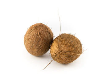 coconuts isolated on the white background