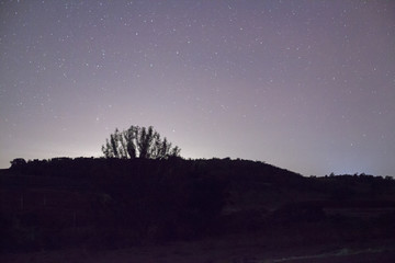 Obraz na płótnie Canvas Blue dark night sky with many stars above field of trees.