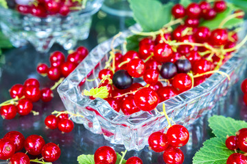 Fresh juicy berry red currant in a glass bowl in a garden on a table in the background of bushes with berries in a summer day with copy space