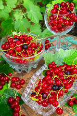 Fresh juicy berry red currant in a glass bowl in a garden on a table in the background of bushes with berries in a summer day with copy space