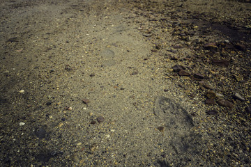 Footprint on the earth and stones in the mining landscape in the Zaranda mine