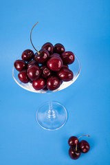 Close up of dark red cherries in a martini on a solid blue background 