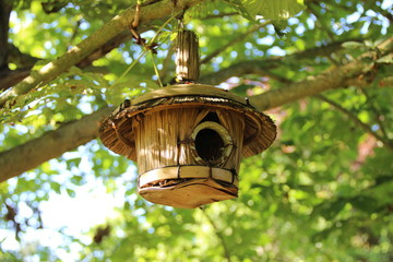 Cabane &agrave; oiseau