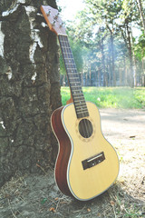 guitar, strings, an ukulele, rest in the woods, playing the guitar, playing on an ukulele, are standing near the tree, a wooden lacquered guitar, guitar in the sun, have sunk in the rays of the sun, a