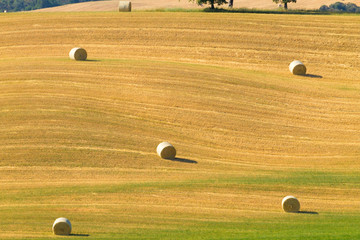 Tuscany hills landscape, Italy