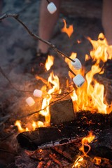 Marshmallows On Sticks 