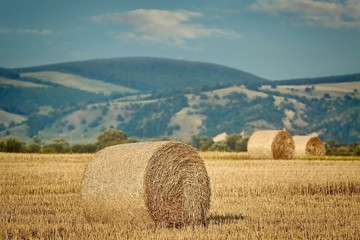 Haystacks on the Field