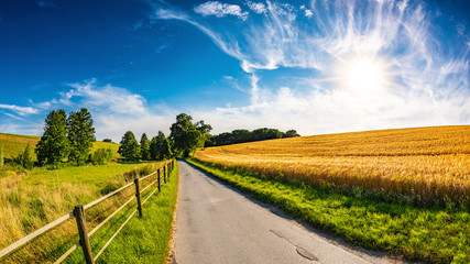Landscape in summer with bright sun and golden cornfield