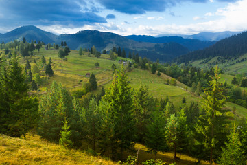 Fototapeta na wymiar Illustration of scenic Karpaty mountains