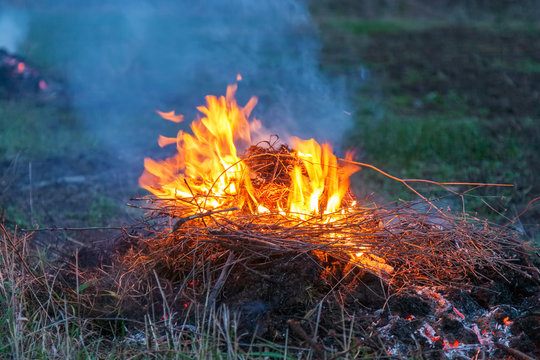 Bonfire in the field eveningd
