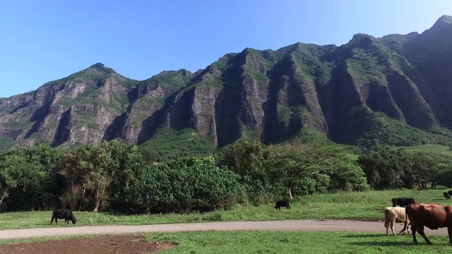 Mountains of Hawaii - Oahu, Kaneohe, Kaaawa valley, Kualoa ranch, film location