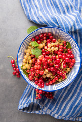 Freshly Picked Red Currants Ready to Eat