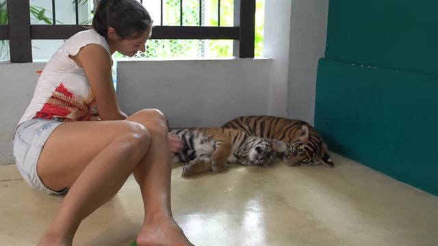 Woman scratching the belly of small tiger