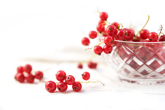beautiful red currant berries from the garden in a glass bowl and on the table, background with copy space fades to white, close up