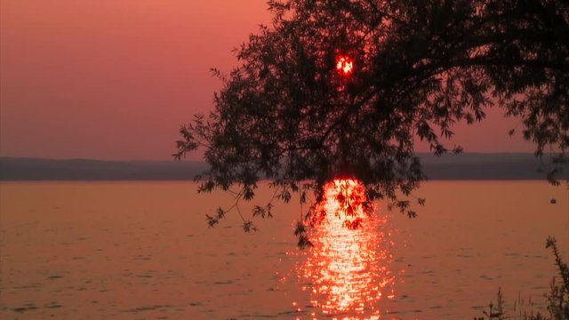 Leaves Shading the Sunset, Lake Superior