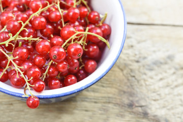 red currant berries in a bowl on rustic wood, close up shot with copy space