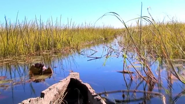 Old Wooden Mokoro Cutting Through Delta, Botswana
