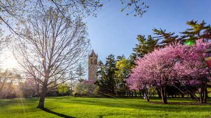 spring at ISU