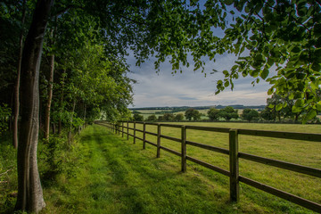 Fototapeta premium The Long Fence