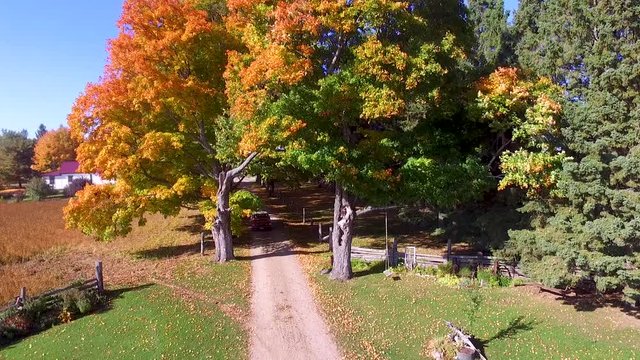An aerial view of an old car driving down a country laneway