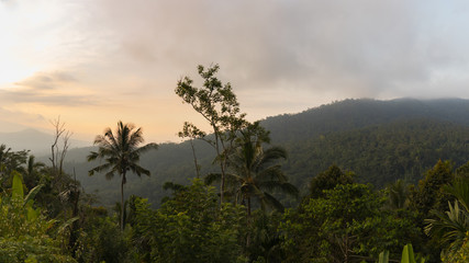 Fototapeta na wymiar The tropical forest at sunset against the backdrop of the hills
