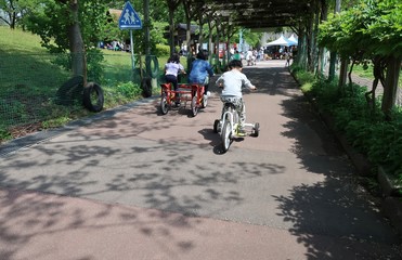 Fototapeta premium 自転車で疾走する男の子