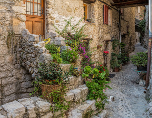 Fototapeta na wymiar Cobbled laneway in the picturesque town of Peillon, a small village in the Alpes-Maritimes department in southeastern France