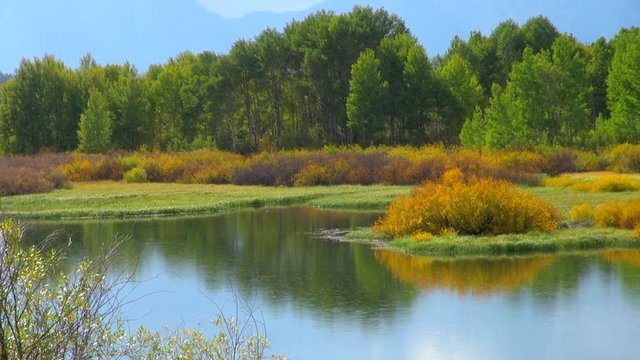 Zoom-out Shot of Lake, Trees at Oxbow Bend, WY