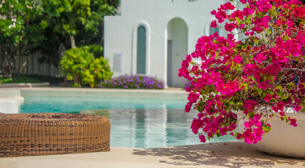 Sunbathing lounger swimming pool side./ Sunbathing lounger swimming pool side and flower pot on summer.
