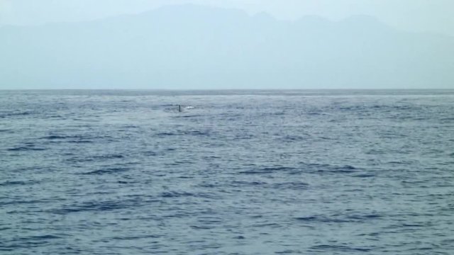 Whale Back Way in Distance