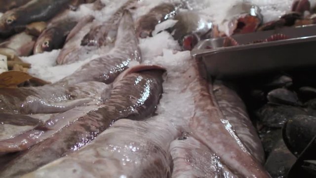 Panning View Of a Market, Santiago