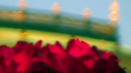 Focus in from Gold Building to Red Rose