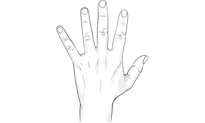 baby hand drawing vector