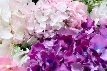 Bunch of flowers on a plain background. Top view. text space. selective focus