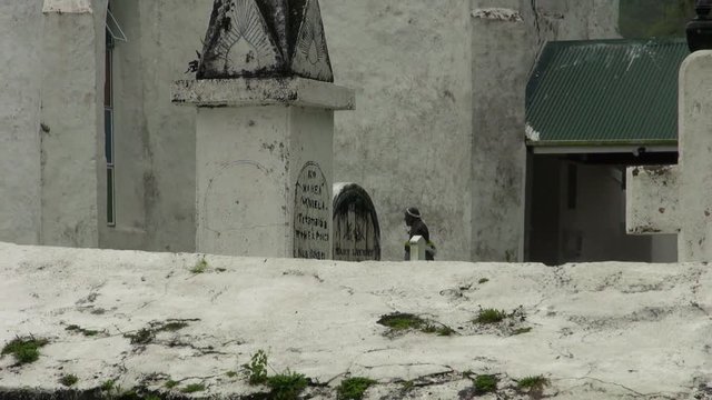 Zooming Out: A Statue Standing at the Top of the Grave