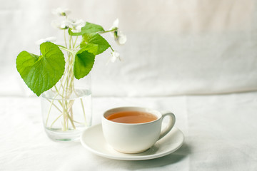 Bouquet of whitebells flower in a glass vase and cup of herbal tea. Snowdrop violet still life. Floral decoration. Spring and summer time minimal close up, morning breakfast concept