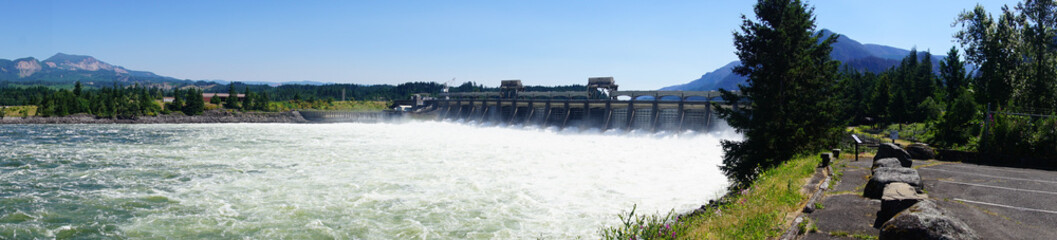 Water spills through the turbines of the  Bonneville Dam