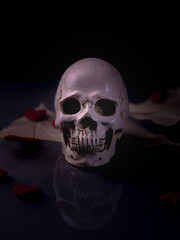 skull dry leaf and red heart in concept love never dies