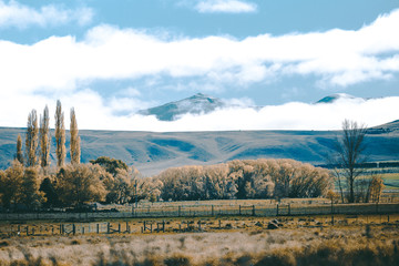 Autumn in Lake Pukaki , south Island, New Zealand landscape