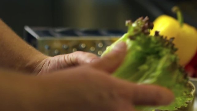 Closeup of hands of male cook taking off lettuce leaves from stem while preparing salad