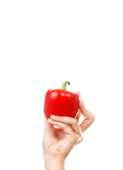 Hand of woman holding in hand fresh peppers, copy space for text on white background